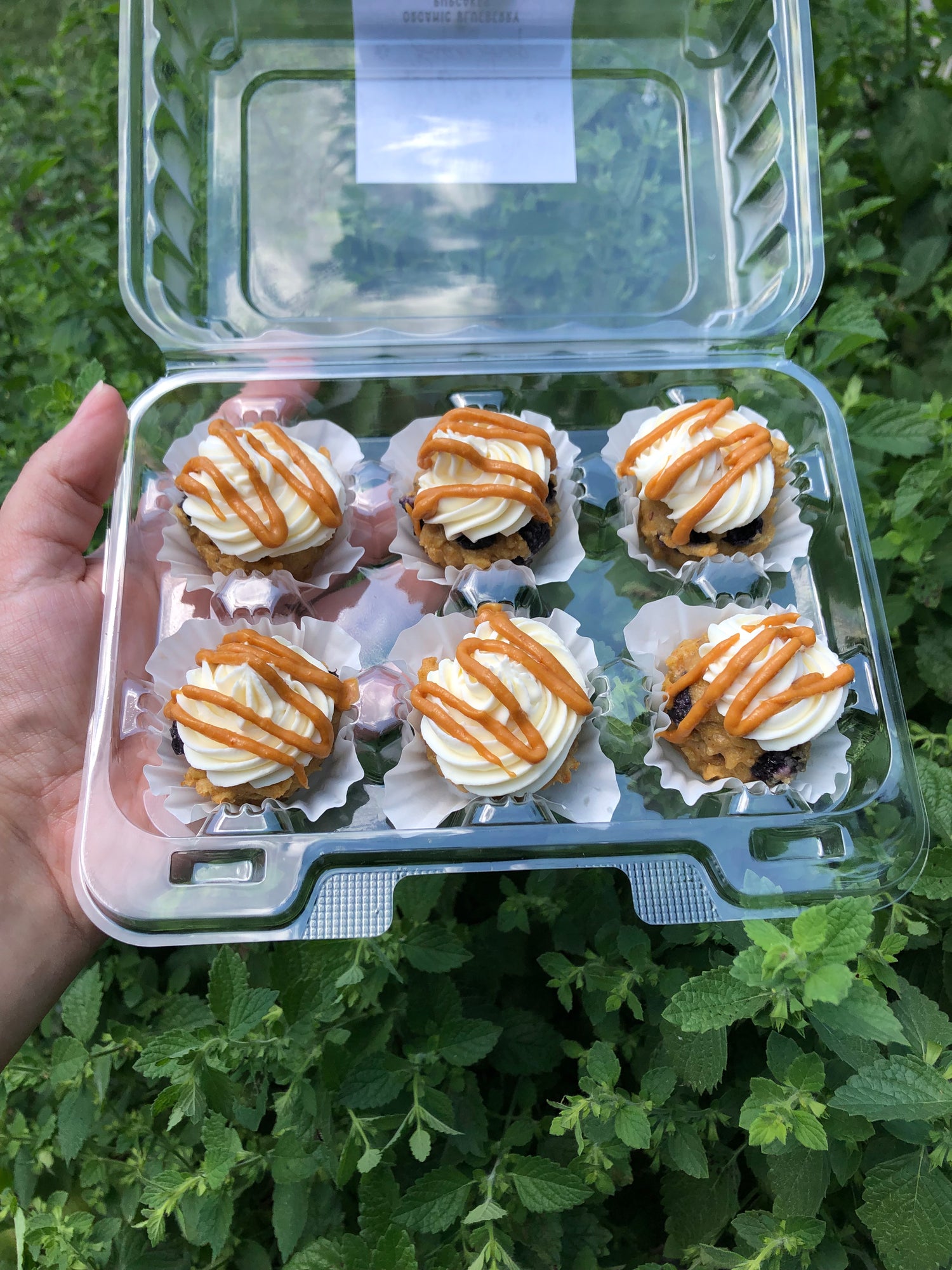 Pupcakes & Doggie Donuts