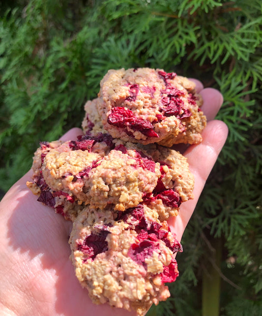 Organic Crunchy Cranberry Cookies